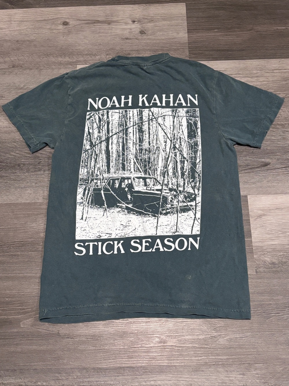Noah Kahan Stick Season Graphic Tee Tour Merch - Green, Comfort Colors, Small